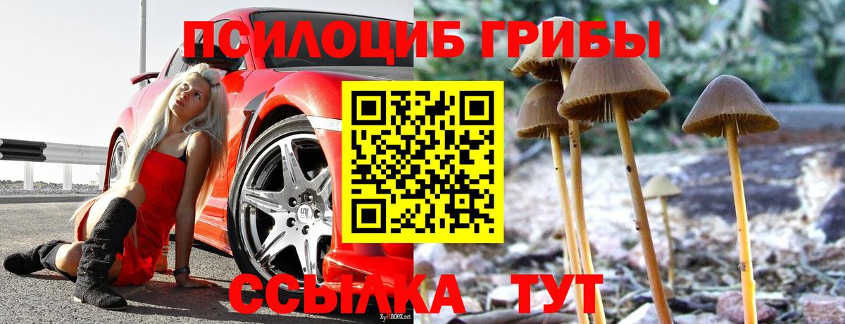 Галлюциногенные грибы Magic Shrooms Людиново